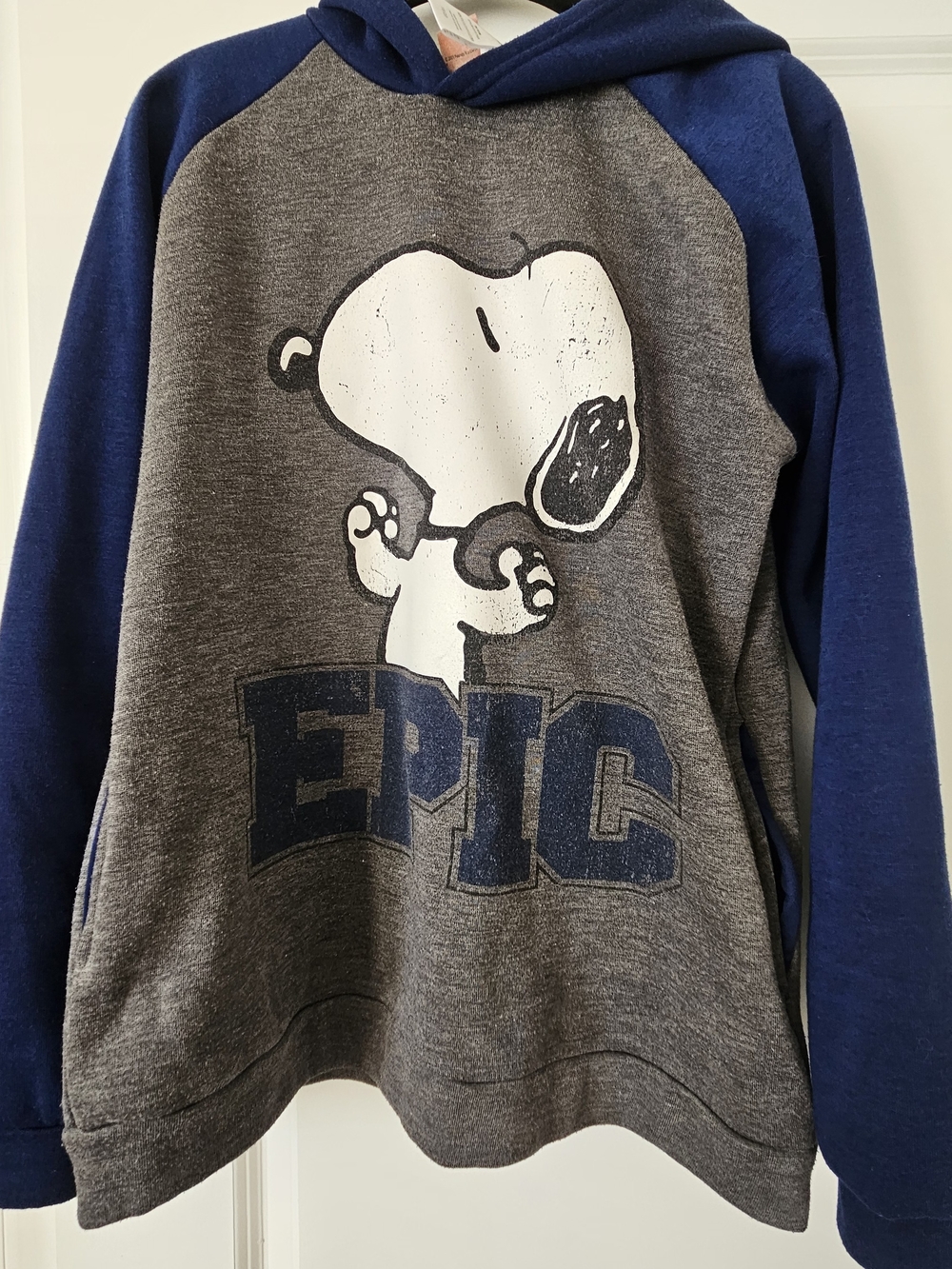 Grey & Navy 'Epic' Snoopy Pullover Hoodie